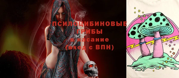 дживик Саяногорск