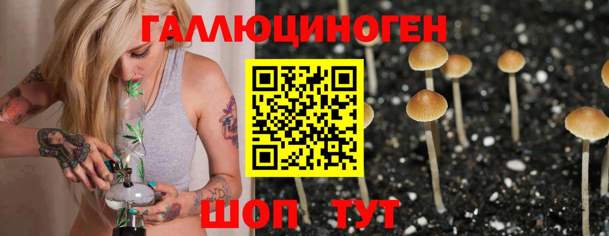 Псилоцибиновые грибы мухоморы Шарыпово